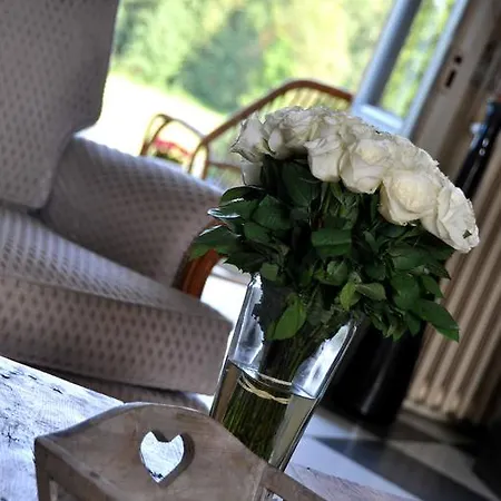 Chateau De Matel Roanne