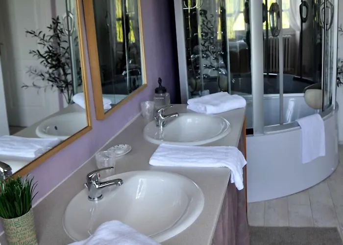 Chateau De Matel Bed & Breakfast