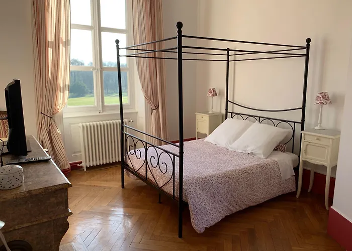 Chateau De Matel 4* Roanne