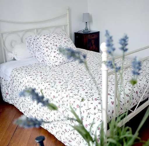 Bed & Breakfast Chateau De Matel Roanne