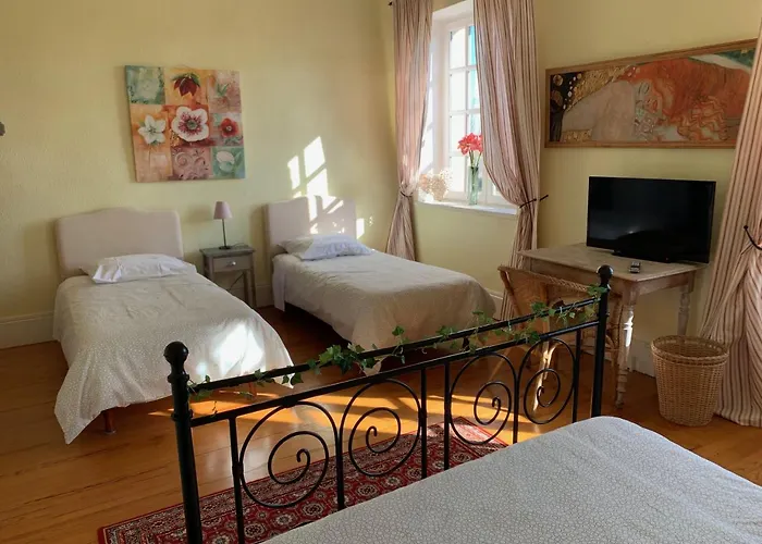 Chateau De Matel Bed & Breakfast Roanne