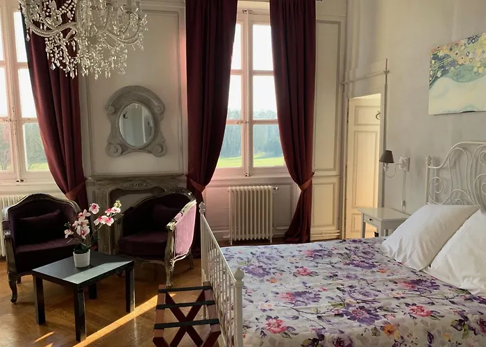 Chateau De Matel Bed & Breakfast Roanne